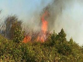 هشدار محیط زیست آذربایجا‌ن‌شرقی در خصوص آتش‌سوزی در جنگل‌ها