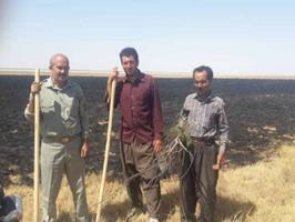 مهار آتش سوزی در تالاب قره قشلاق
