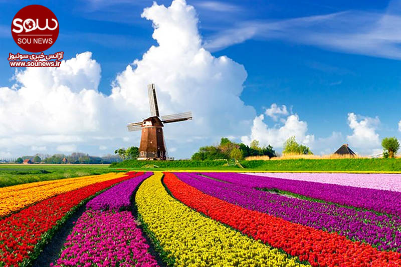  انقلاب کشاورزی با مدل هلند  