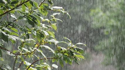 تداوم بارش باران و وزش باد در برخی استان‌ها