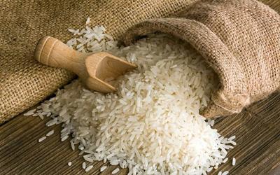 واردات برنج شایعه است