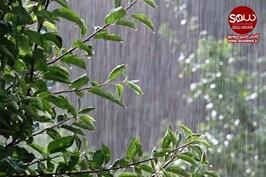 بارش پراکنده باران در آذربایجان شرقی از یکشنبه