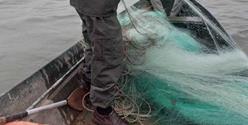 جمع آوری تورهای ماهیگیری صیادان غیرمجاز در سد ستارخان