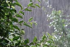 بارش‌های رگباری در آذربایجان شرقی ادامه دارد
