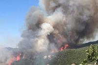  ۸۰ درصد عامل آتش سوزی‌ جنگل‌ها مربوط به عوامل انسانی است