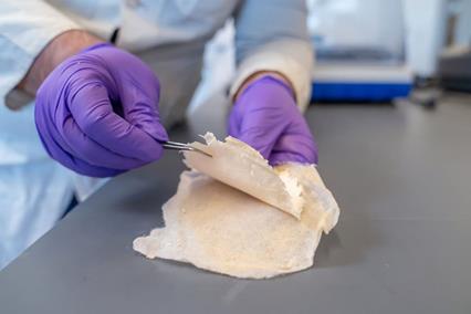 ساخت پانسمان نابودگر باکتری بدون آنتی‌بیوتیک توسط دانشمند ایرانی