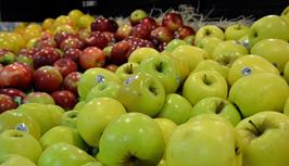 آغاز توزیع میوه نوروز ۱۴۰۳ در سراسر آذربایجان شرقی