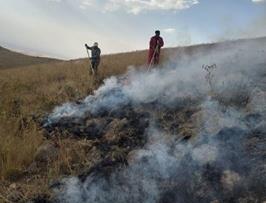 خطای انسانی علت آتش سوزی مراتع ارتفاعات سهند 