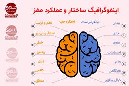 ساختار و عملکرد مغز 