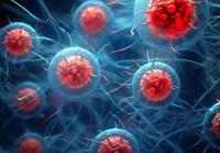 نقش سلول‌های «زامبی» در پیری