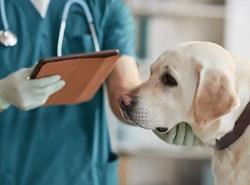 روز ملی دامپزشکی