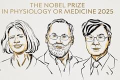 برندگان نوبل پزشکی ۲۰۲۵ معرفی شدند