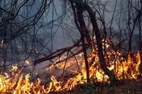 آتشی که آرام نمی‌گیرد!