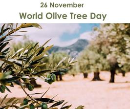 روز جهانی درخت زیتون