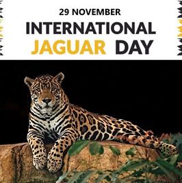 روز جهانی جگوار