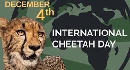 روز جهانی یوزپلنگ