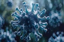 آیا ایرانیان به ویروس «مرس» مبتلا شده‌اند؟