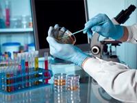 ایران پنجمین کشور تولید‌کننده کیت در دنیا