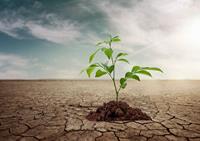 بحران آب، بحران فرهنگ است