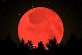 شبی که ماه سرخ پوش می شود 