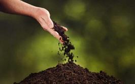 خاک ایران آلوده است؛ تهدید غذا و آب شرب جدی است!