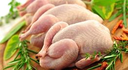 زنگ خطر به صدا درآمد؛ مرغ ۵۰۰ هزار تومانی؟