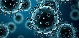 بازگشت ویروس نیپا؛ آماده‌باش در آسیا