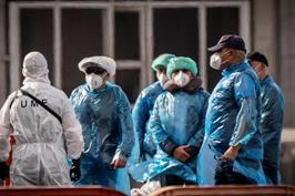 وخامت حال مسافر فرانسوی مبتلا به هانتاویروس
