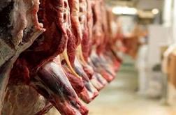 واردات گوشت ۹۰٪ ریخت؛ قیمت اوج گرفت