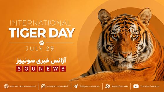 روز جهانی ببر